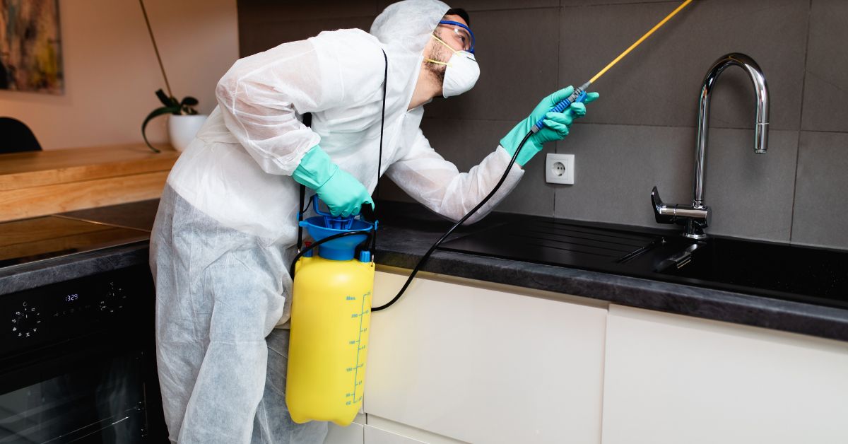 Expert NDIS Pest Control Services in Sydney for a Safe, Clean Home
