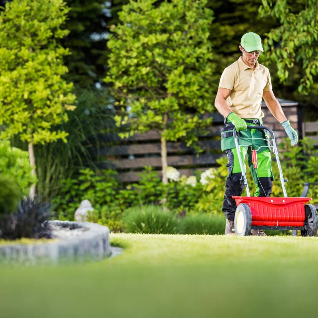 NDIS Lawn Mowing Services and Garden Care in Sydney