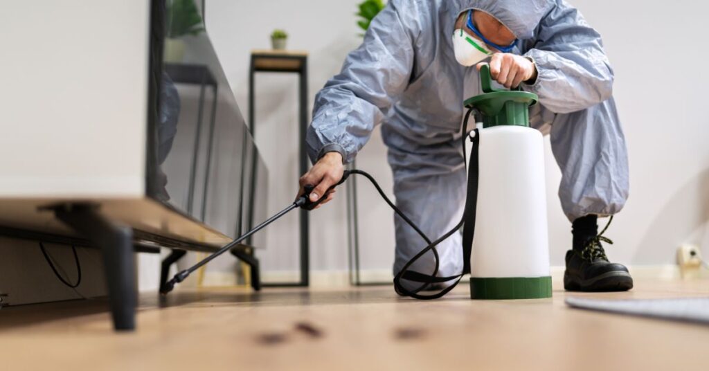 NDIS Pest Control Services in Sydney