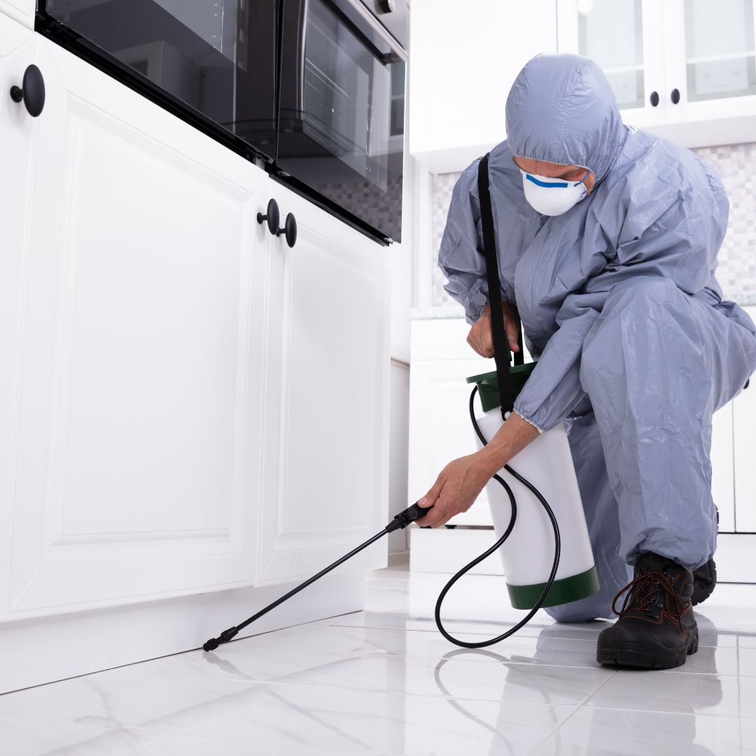 NDIS Pest Control Services in Sydney