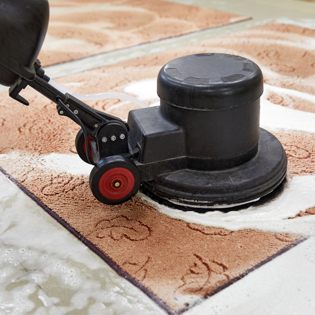 What to Expect from Our NDIS Carpet Cleaning in Sydney