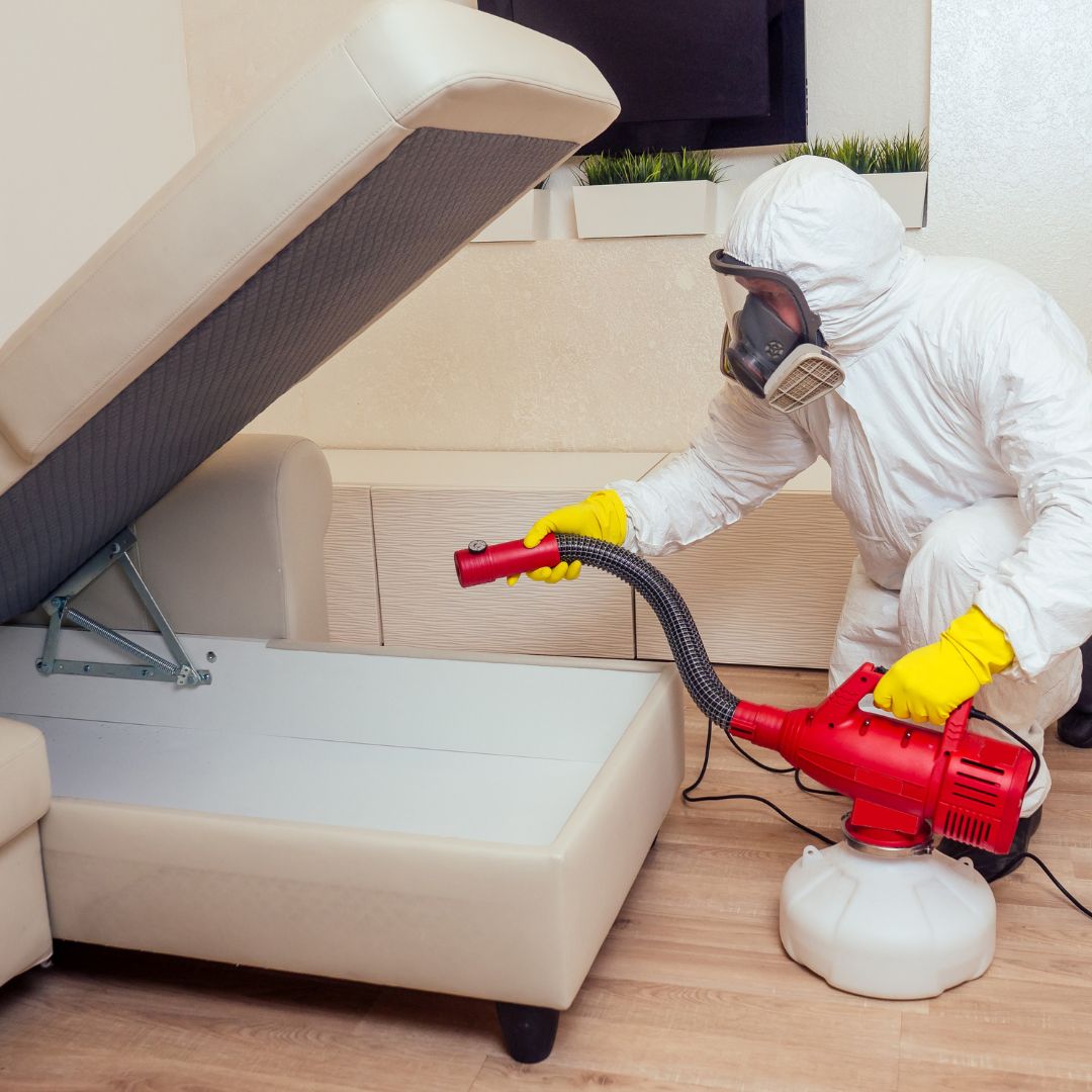 Why Choose Ndis Cleaning Care for NDIS Pest Control Services in Sydney