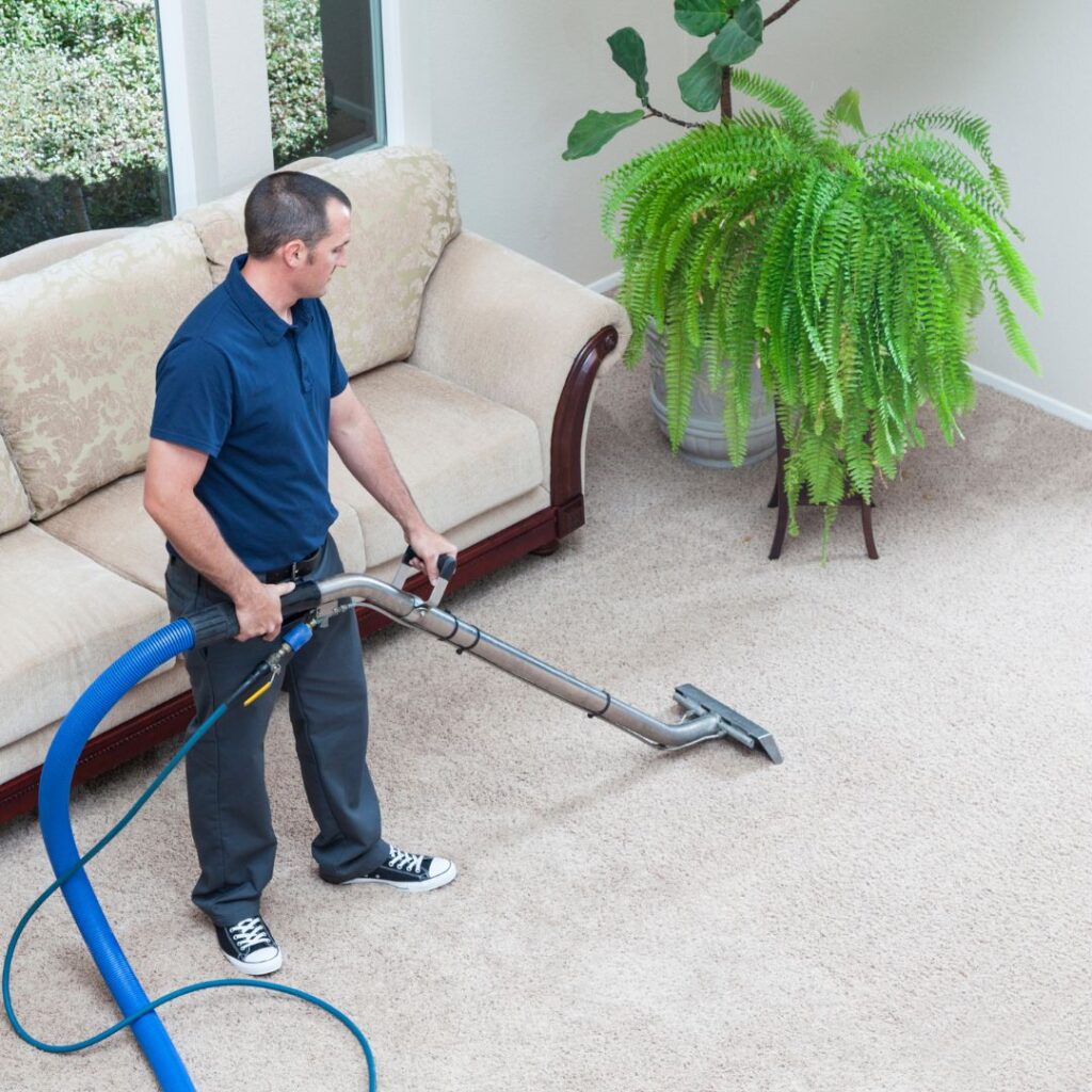 Why Sydney Locals Choose Our NDIS Carpet Cleaning Services