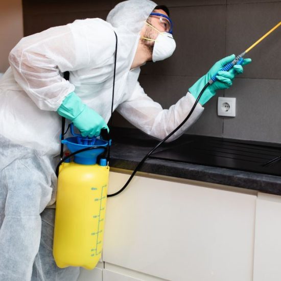 Expert NDIS Pest Control Services in Sydney for a Safe, Clean Home